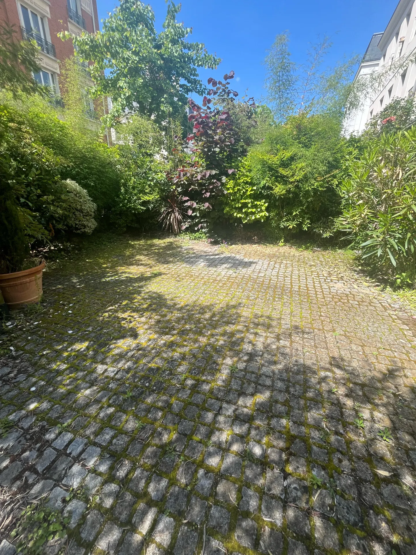 3/4-Bedroom Apartment - 84m² - Vincennes — photo 2
